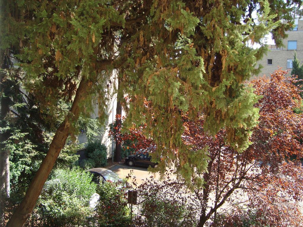 Villa Sciarra Rome Bilik gambar